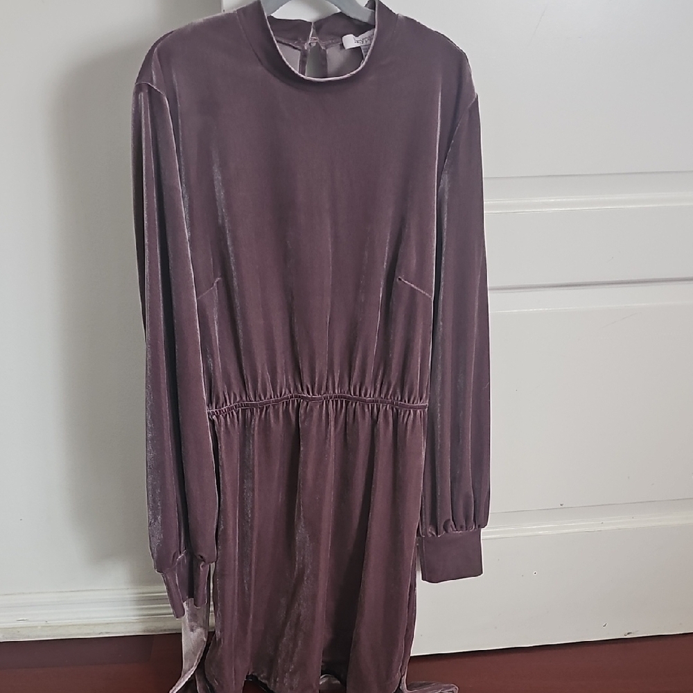 Lucy Paris Mauve Velvet Dress